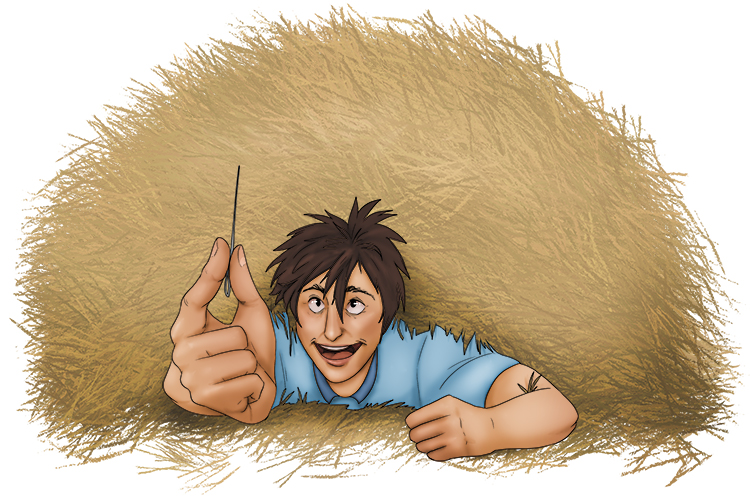 Can you find (fine) the needle in the hay stack? You will need to use the tiny muscles in your hands and high levels of hand and eye coordination to find it.